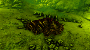 Alpha tridacna brine.png