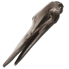 Quetzalcoatlus Bone Costume.png