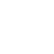 BattleRig.png