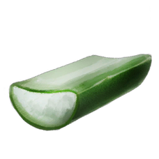 Cactus Sap.png