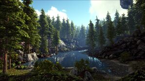 The Redwoods (Valguero).jpg