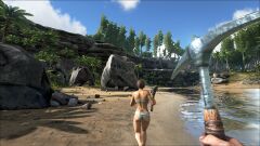 ARK17.jpg