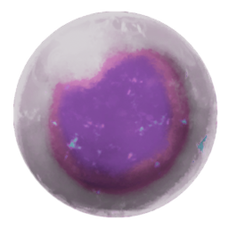 Tusoteuthis Egg.png