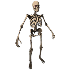 Skeleton Costume Skin.png