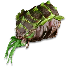 Gamma Cymathoa Trophy.png