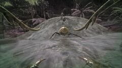 Primal Survival 5.jpg