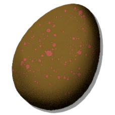Grand Tortugar Egg.png