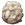 Wool.png