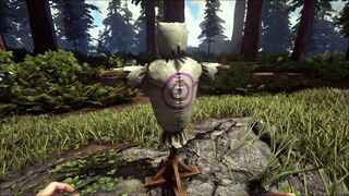 Training Dummy PaintRegion5.jpg