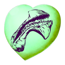 Chibi-Tropeognathus.png