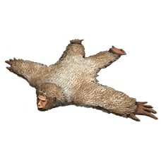 Mobile Gigantopithecus Rug.png