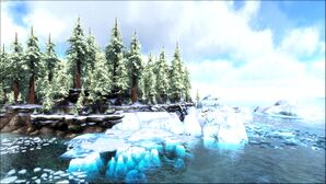The Great Forest North (Crystal Isles).jpg
