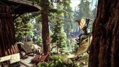 ARK38.jpg