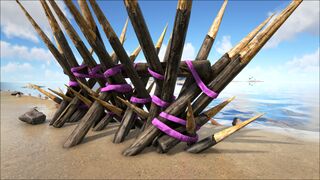 Wooden Spike Wall PaintRegion2.jpg