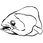 Coelacanth.png
