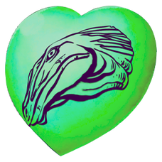 Chibi-Gallimimus.png