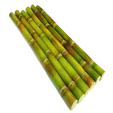 Fresh Sugar Plant (Primitive Plus).png