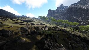 Rag hotsprings Plains.jpg