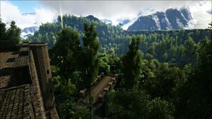 Jungle (Valguero).jpg