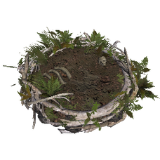 Deinonychus Nest.png