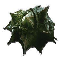 Rooted.png