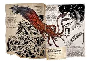 Dossier Tusoteuthis.png