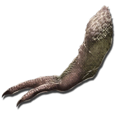Tyrannosaurus Arm.png