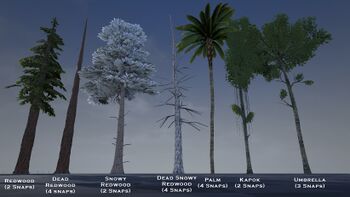 Trees 1.jpg
