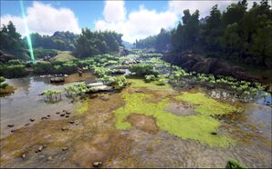 Writhing Swamps.jpg
