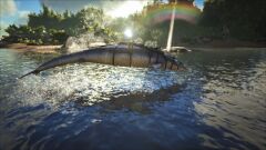 ARK31.jpg