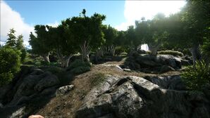 The Farm (Valguero).jpg
