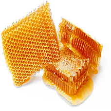 Honey (Primitive Plus).png