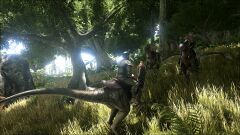 ARK7.jpg