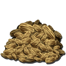 Rockarrot Seed.png
