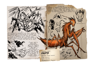 Dossier Mantis.png