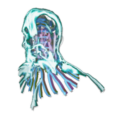 HomoDeus Helmet Skin.png