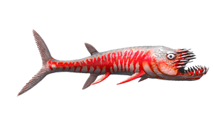 Mod AA Xiphactinus PaintRegion0 ASA.png