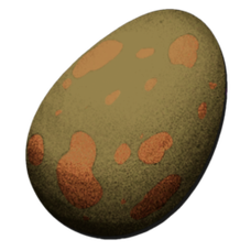 Yutyrannus Egg.png