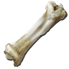 Dinosaur Bone.png