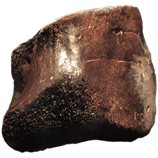 Shell Fragment.png