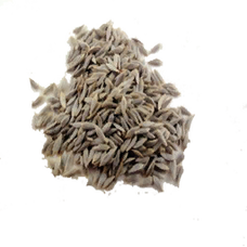 Lettuce Seed (Primitive Plus).png