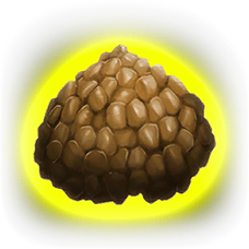 Exceptional Kibble.png