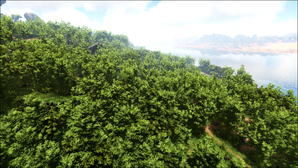 Bamboo Forest (Lost Island).png