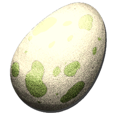 Parrot Egg.png