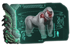 Dossier Megapithecus.png