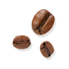 Fresh Coffee Fruit (Primitive Plus).png