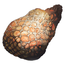 Gigadesmodus Egg Sac.png