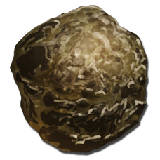 Human Feces.png