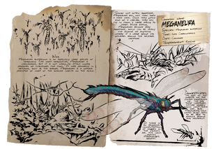 Dossier Meganeura.png