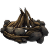 Campfire.png